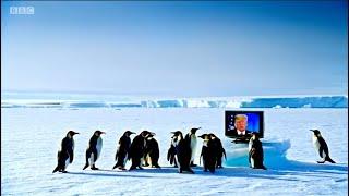 TARIFF OF THE PENGUINS (March of the Penguins parody)