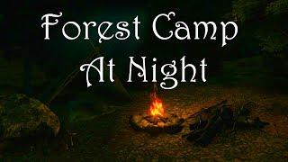 Forest Camp at Night 1 HOUR | Relaxing Medieval Fantasy Ambience and Music