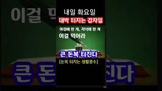 "내일 대박 터지는 갑자일! 60일 내내 펑펑 돈복 쏟아지게 만들려면 이걸 아침에 1개 저녁에 1개 꼭 먹어라! 큰 돈복 터진다" 지금 돈복 터지는 내일 갑자일 풍수 기원 접수중