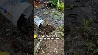 Лайфхак от муравьевВБ:#354737436
