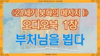 [⟪21세기 붓다의 메시지 I⟫ 오디오북] 1장 부처님을 뵙다 (영산불교 현지사 출간)