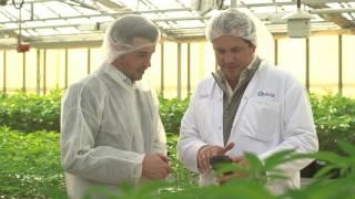 Zebra Technologies - Aphria Inc. Success Story