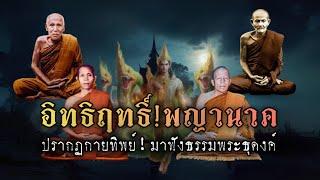 อิทธิฤทธิ์!พญานาค!!ปรากฏกายทิพย์!ขึ้นมาธรรมพระธุดงค์!!รวมเรื่องเล่าฟังแบบยาวๆ 1 ช.ม