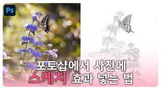 포토샵으로 연필 스케치 효과 만들기️ 손그림 느낌 뚝딱!