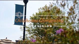 Oklahoma Gardening September 21, 2024