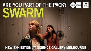 Join the SWARM and see Science Gallery Melbourne's latest exhibition