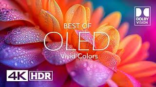 Best of Vivid Colors 4K HDR 60 FPS Dolby Vision (4K Video)