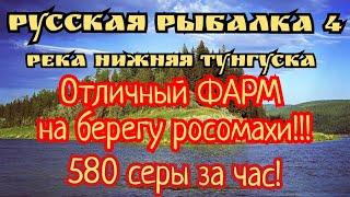 РР4. река Нижняя Тунгуска. Отличный ФАРМ на поппер! 580 серебра за час! Много Ленка и Форели!