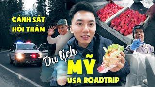 USA Roadtrip #2: Du lịch Mỹ tự túc - Rừng sâu đầy tuyết |USA trip