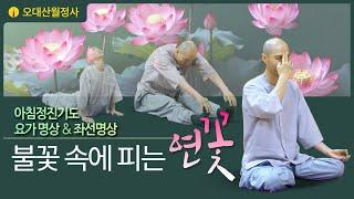 불꽃속에피는연꽃 2025년 2월 1일 아침정진기도 | 스님과 함께하는 요가명상과 좌선명상 | Guided Daily Meditation