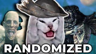 I Randomized Bloodborne... But at What Cost?!