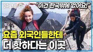 “등산하러 한국 와요!” 최근 외국인들이 서울 오면 꼭 가고 싶어 하는 곳. 그 이유는?｜한국기행｜알고e즘