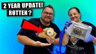 Update On My Preserved Angel Fish + Mold Making - Ben's Worx Vlogs