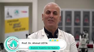 Anatomi Anabilim Dalı | Prof. Dr. Ahmet Usta | Neden Üsküdar Üniversitesi?