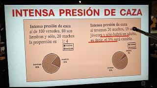 Tierra de Venados  ¿Cómo afecta la Presión de Caza en el resultado de tu cacería?