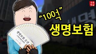 생명 보험만 24개 "100억원"의 보험을 몰래 든 아내