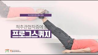 척추관협착증에 좋은 프로그스퀴지