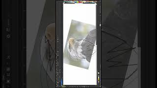 Learn corelDRAW with Ahsan Sabri