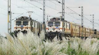 Dangerous Trains Actions Through Beautiful "Kaash Ful" in Rural Landscape | Indian Railways