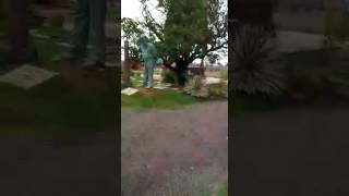Art ichol maihar satna ki video