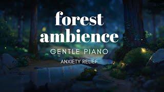 Twilight Forest | Gentle Piano & Summer Forest Ambience