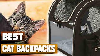 Best Cat Backpack In 2024 - Top 10 Cat Backpacks Review