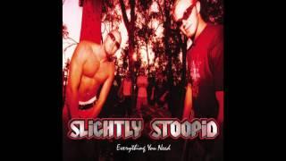 Everything you Need - Slightly Stoopid