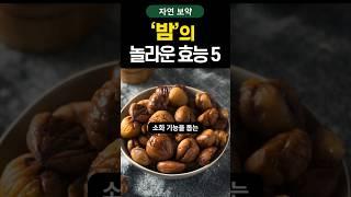 '밤'의 놀라운 효능 5가지 #건강 #shorts #건강정보 #효능