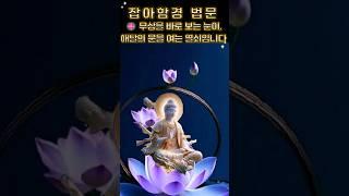 잡아함경 법문🪷“무상뿐 아니라,모든 것은 괴로움이요, 공하며,나가 아니다.”🪷 무상을 바로 보는 눈이,#잡아함경 #무상경 #무상 #불교법문 #마음해탈 #사성제 #부처님말씀