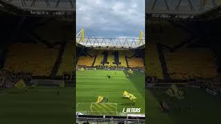 18/05/24 Borussia Dortmund vs Darmstadt 98 #football