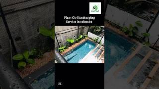 Pool landscaping  #landscapedesignideas #plants #handmadeplanter #houseplants #garden