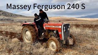 Massey Ferguson 240 S’in Otlu Tarla İle Mücadelesi.