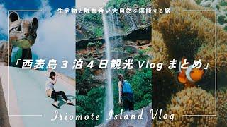 Summary] Iriomotejima 3 nights 4 days Vlog |