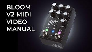 JACKSON AUDIO BLOOM V2 MIDI - VIDEO MANUAL