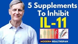 5 Supplements To Inhibit IL-11