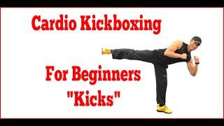 Epi. #146: Cardio Kickboxing for Beginners/Kicks with Trainer Marcelo.