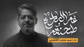 طحنهم عم الساده | سيد محمد الحسيني 1447 هـ