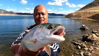 Tips and Tricks - 11 Mile Reservoir in Lake George, Colorado