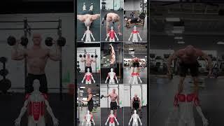 Full push workout (chest, shoulders & triceps)