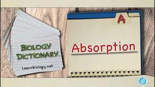 Biology Definitions | Absorption | Biology Dictionary | Defining Absorption