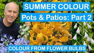 SUMMER COLOUR FOR POTS & PATIOS: Part 2 - COLOUR FROM FLOWER BULBS – Lilies, Dahlias,Begonias & More