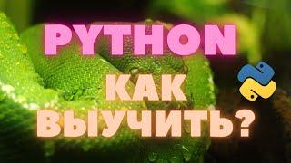 Как выучить python