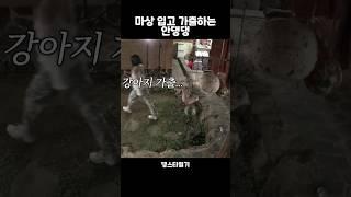마상 입고 가출하는 안댕댕ㅋㅋ (느낌을 잘 살렸어야지(?)