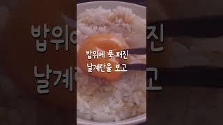 월드 클래스 계란의 탄생기