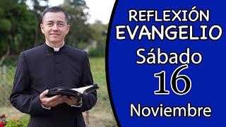 Evangelio de hoy Sábado 16 de Noviembre de 2024