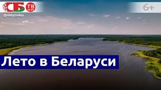 Красивое аэровидео белорусской природы | Плещеницкое водохранилище | Логойский район