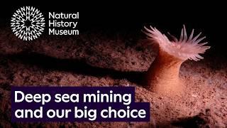 Deep sea mining and our big choice