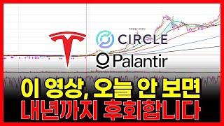 이 영상, 오늘 안 보면 내년까지 후회합니다. 테슬라 서클 팔란티어...