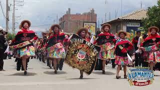 CRUZ DE MAYO SAÑOS CHICO - ORQ. FLAMANTES DE HUANCAYO (Pasacalle Viques 2024)