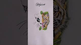 dibujo  tigre y puma #dibujosalapiz #arte #dibuja #drawing #dibujosacolor #artist #amor #naturaleza